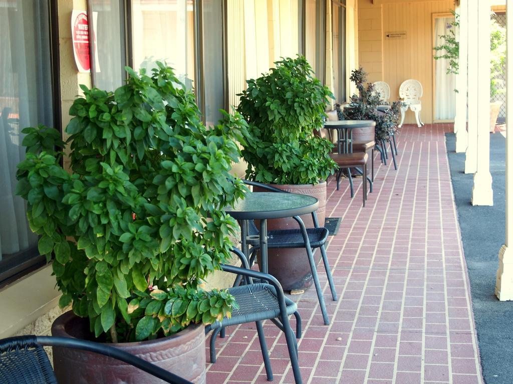 Murray River Motel Суон-Хилл Номер фото